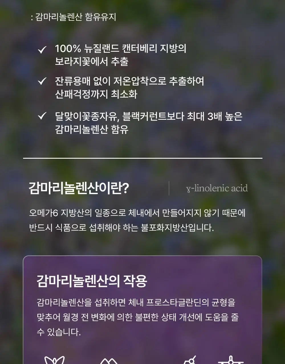 [콜레스테롤 개선] 이너플로라 보라지유 60캡슐 (1개월분) 상세페이지 9